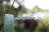 网页攻击器教程